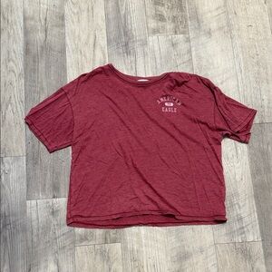 American Eagle Outfitters Burgundy Crop Top